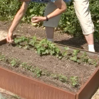 lannoitus kasvimaa lannoitus kasvimaa